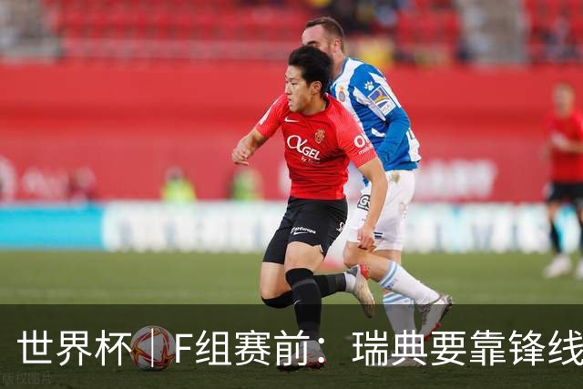 世界杯｜F组赛前：瑞典要靠锋线双星 突尼斯欲出线